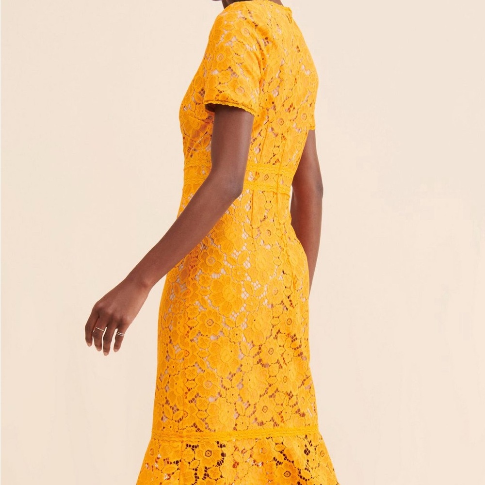 👗 🌟 Anthropologie Rachel Parcell Orange Lace Midi Dress S like XS 0 2 Wedding - Picture 8 of 13